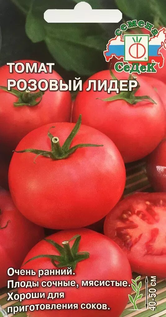 Томат розовый лидер описание сорта. Томат розовый лидер. помидоры розовый лидер. розовый лидер томат лидер. томат лидер розовый описание сорта.