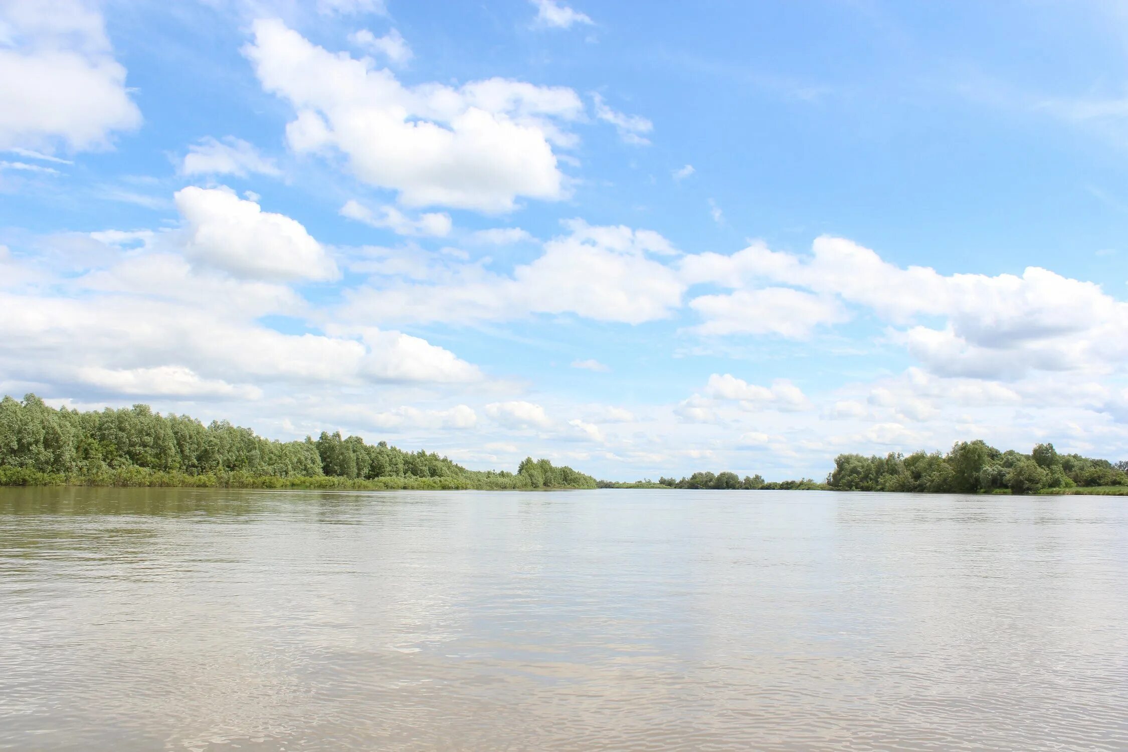 Река обь бийск. Обь под водой. Заката река обь новосибирск. Как нарисовать реку обь. Ширина реки обь.