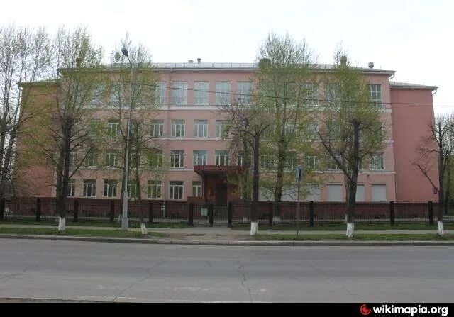 Мозаичное панно появилось в Женской гуманитарной гимназии Череповца благодаря пр