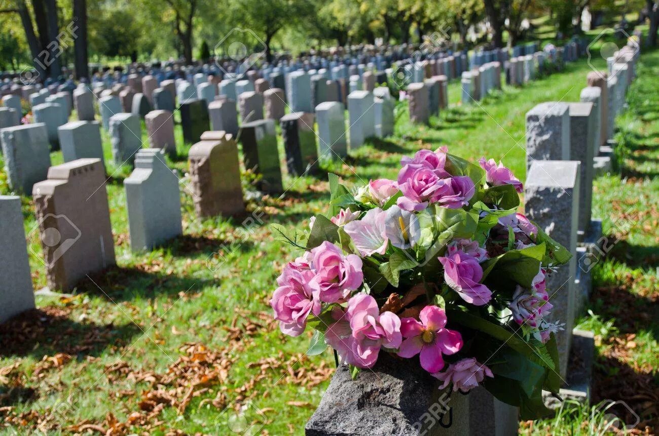 Цветы на родительский день. Кладбище. Цветы на кладбище. Пионы на кладбище. Могила с цветами американское.