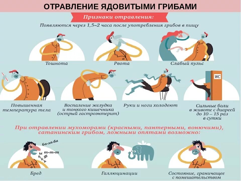 Команда тошноты