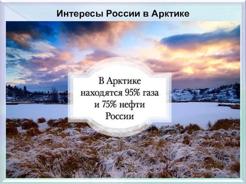 От южных морей до полярного края доклад. Интересные факты об Арктике. Интересные факты арктиктики. Цитаты про Арктику. Высказывания про Арктику.