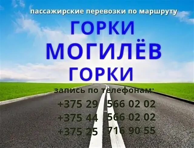 Горки могилев маршрутка