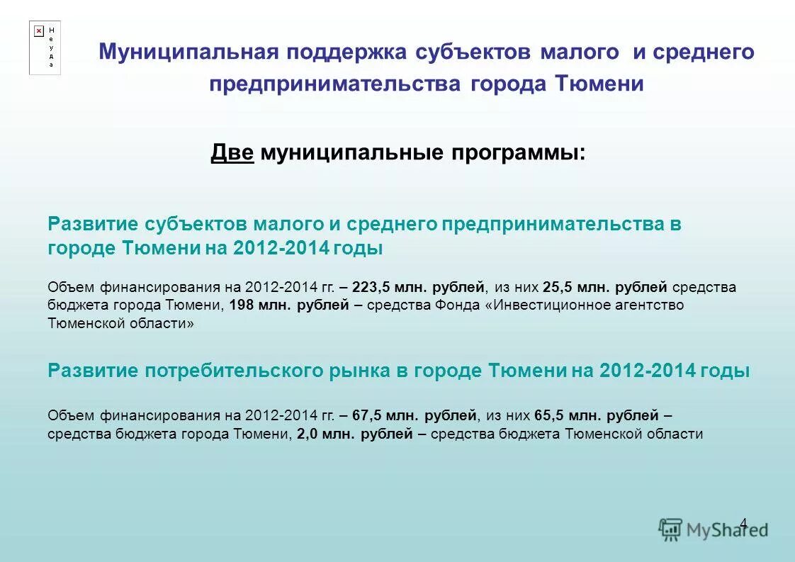 Программа развития субъектов малого и среднего предпринимательства
