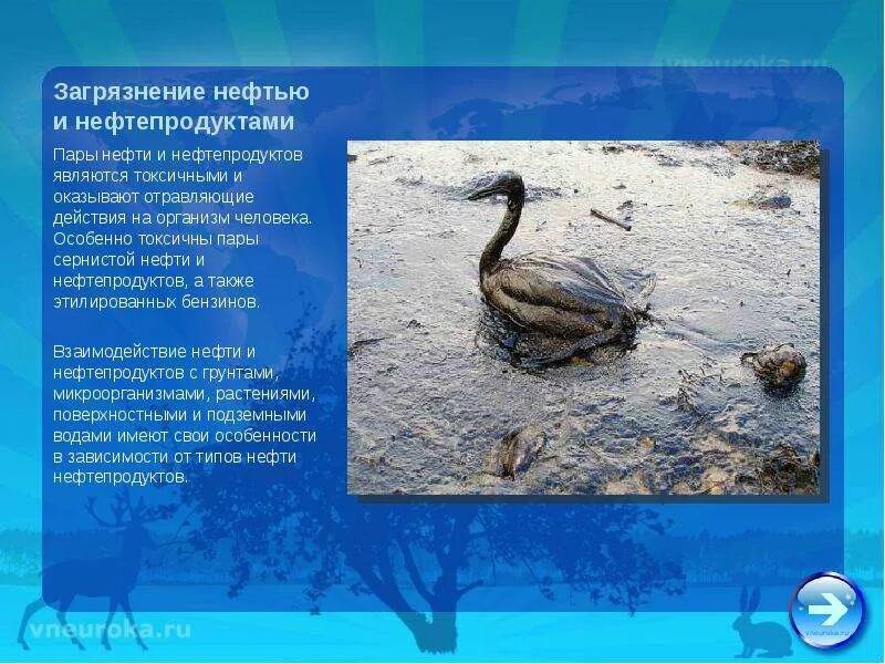 Влияние нефти на политику. Роль нефтяного фактора в мировой политике. Влияние нефти на политику. Влияние нефти на политику. Влияние нефти на политику.