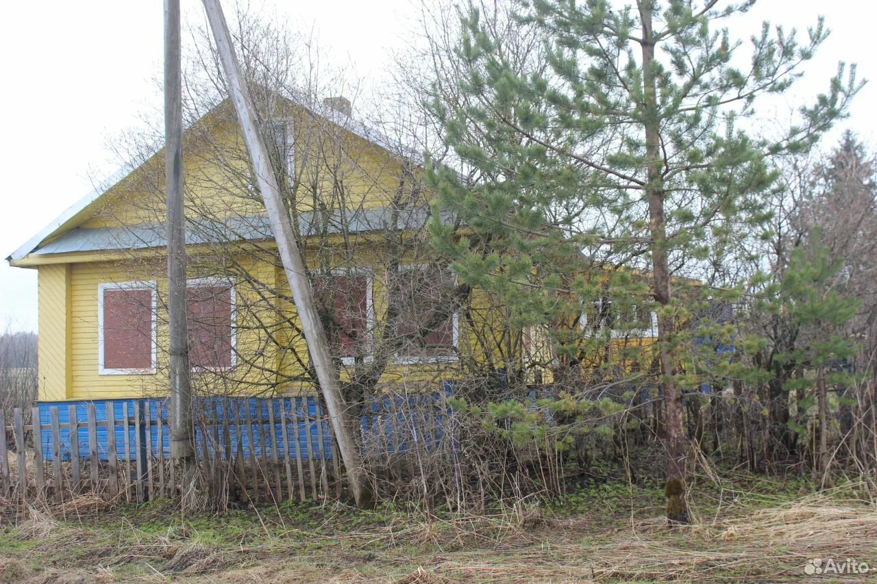 Снт красная рябина золотарево. Дача белозерская. Дом инюшиных белозерск. Дача белозерская. Дача белозерская.