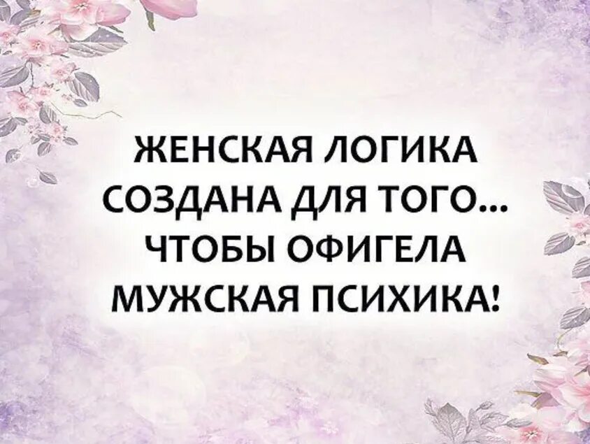 Есть ли женская логика. Высказывания про мужскую логику. Женская логика. Пустая книга женская логика. Отличие мужской и женской логики.