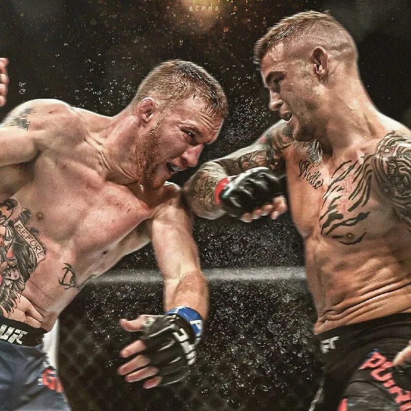 Битва реванш 2023. Дастин порье джастин гэтжи. Битва реванш 2023. Алекс перейра боец. Адесанья перейра реванш.