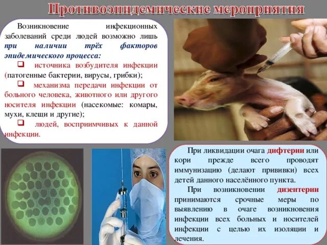 Возникновение бактерионосительства самолечение инфекционных. Инфекционные болезни. болезни. инфекции животных. инфекционные заболевания животных. защита от инфекционных заболеваний животных.