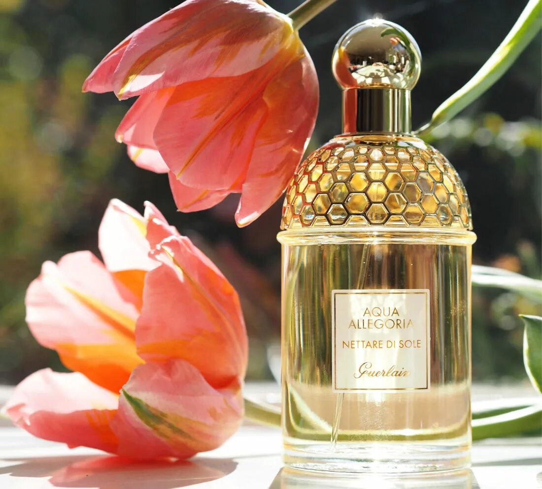 Guerlain Aqua Allegoria. Аква аллегория nettare di sole. Герлен духи Aqua Allegoria. Герлен акваалегорияnettare di sole. Духи guerlain купить