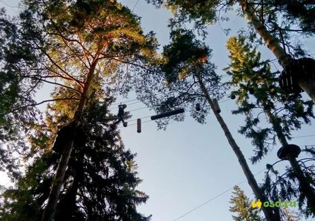 Норви парк