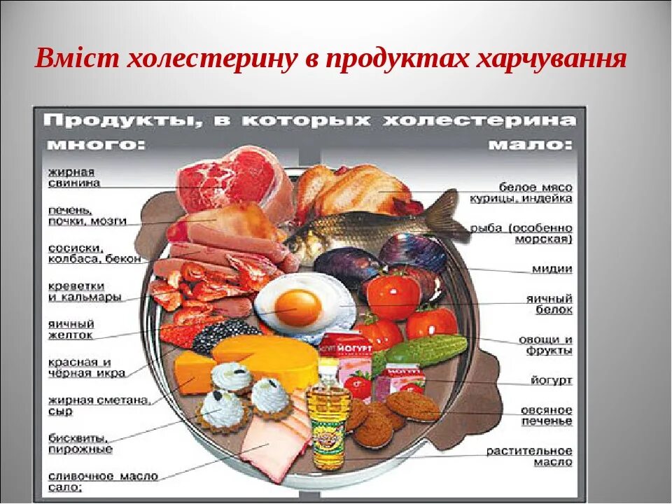 Холестерин в продуктах. Продукты содержащие хол. Продуктов с высоким уровнем холестерина. Список продуктов содержащих холестерин.