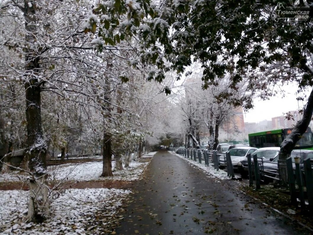 Первый снег. Первый снег в городе. Снег в Тюмени. Первый снег в Тюмени.