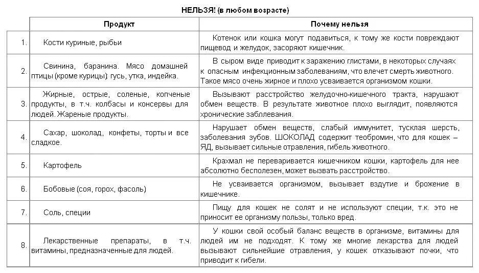 Как кормить кошку
