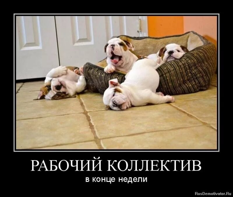 Про рабочую неделю