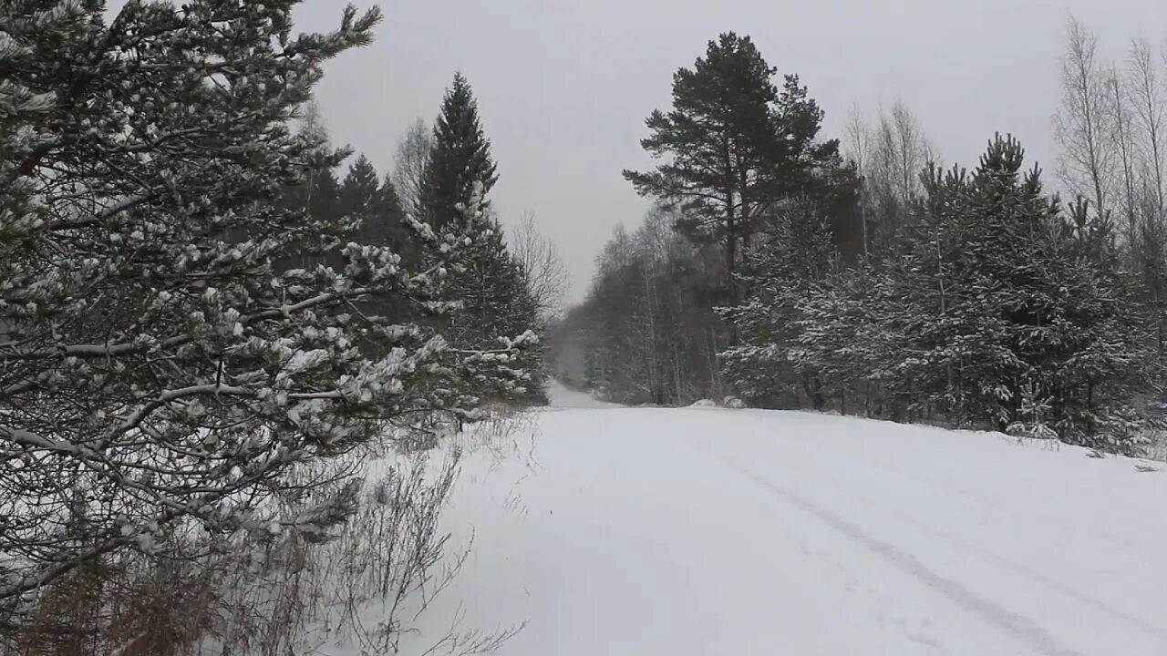 Окуловка. Январь Окуловка природа. Окуловка зима. Окуловка зимой.