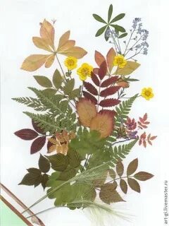 Композиция из засушенных листьев