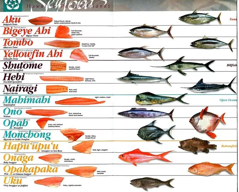 Название рыб. Морская рыба названия. Сорта красной рыбы. Разновидности рыб морских. Породы красных рыб