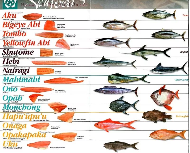 Какие есть сорта рыб. Рыбы список. морская рыба названия для еды. название рыб. перечень морских рыб.
