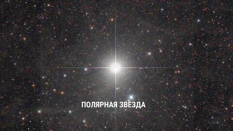 5 полярная 10