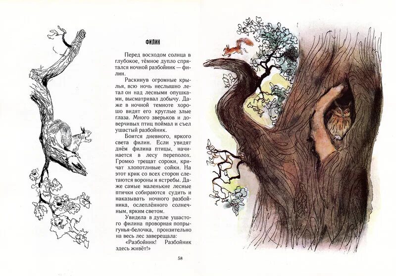 Переполох в лесу изложение 4 класс. Иллюстрации георгия никольского. Переполох в лесу. Изложение про медведя. Переполох в лесу.