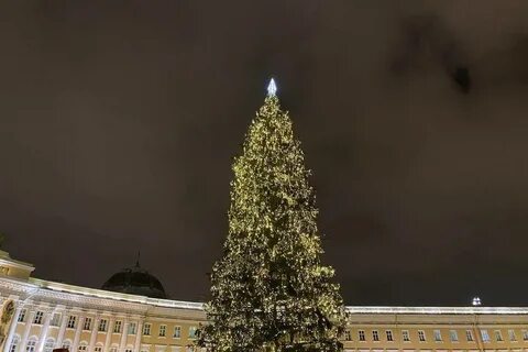 Декабрь 2023 в спб