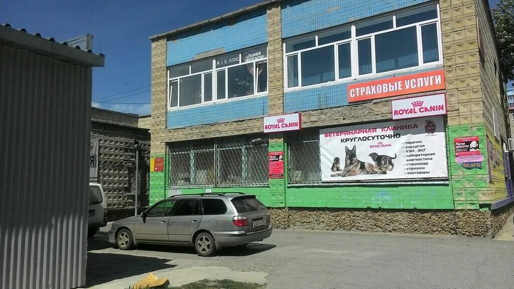 клиника друг новосибирск телефон. ветклиника друг новосибирск. друг ветеринарная клиника искитим.