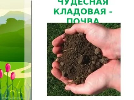 Проект грунт