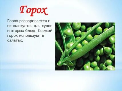 Горох описание