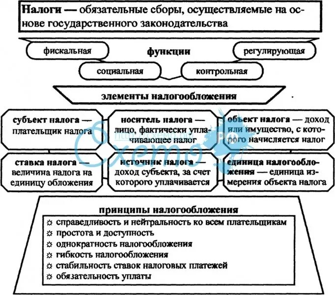 Схема налогов виды и функции. Функции налогов и их сущность таблица.