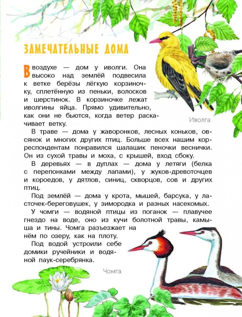 Рассказы Пришвина и Бианки о природе. Рассказы о природе 3 класс короткие Бианки. Бианки рассказы о природе 4 класс. Рассказ в Бианки и п ришвен рассказ о животных.