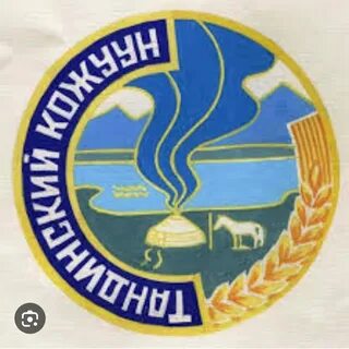 Чеди хольского кожууна республика тыва