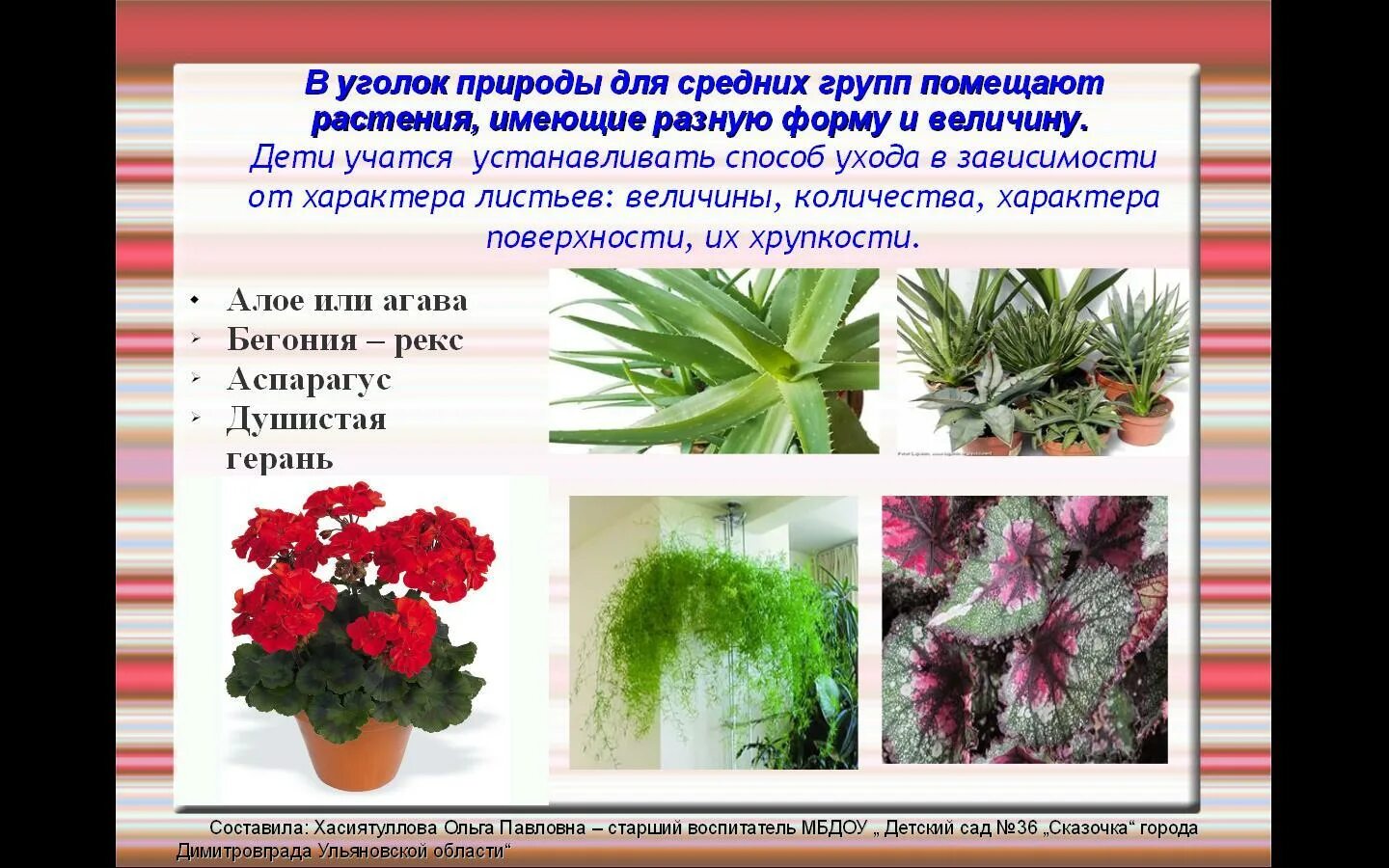 Растение имеющее цветок