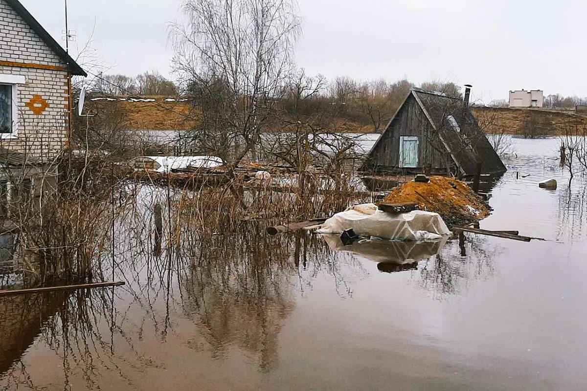 Погода в верхнедвинске. Паводок. Половодье реки. Наводнение фото. Половодье 2023.