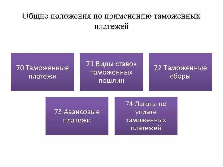 Таможенные пошлины выполняют функцию. Структура таможенных платежей. таможенные платежи и их виды. функции таможенных платежей. функции таможенных пошлин.