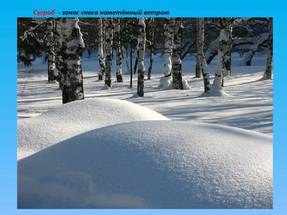 Установление снежного Покрова. Январь много снега. Признаки зимы снег. Зимние изменения в природе 3 класс