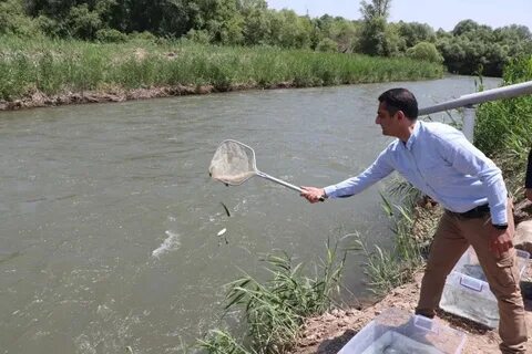 Расширение хакари