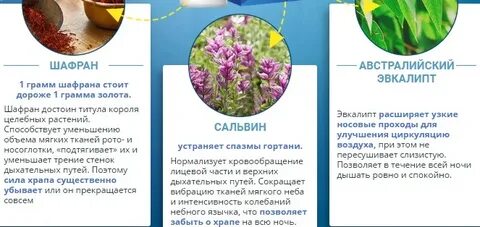 Сальвин