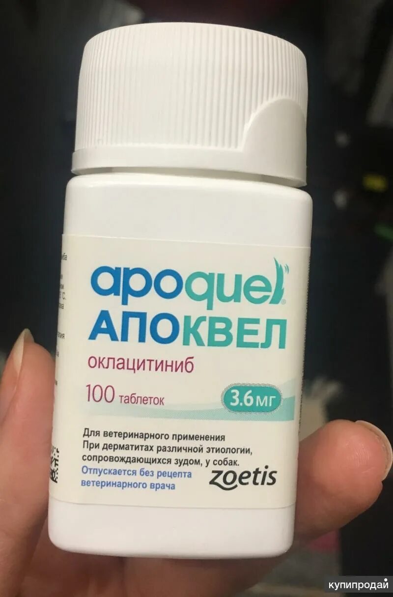 Апоквел 16 купить в москве. Апоквел 3.6 мг. Апоквел таблетки 3,6 мг 100 шт. (Вет) Зоэтис. Апоквел таблетка 3,6 мг.