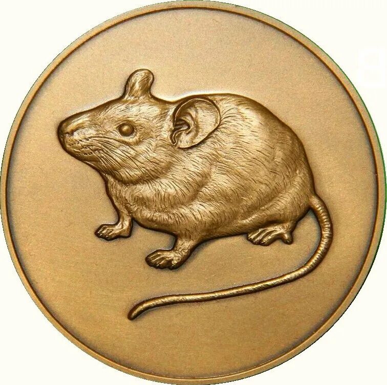 Рыба в год крысы. Монета-талисман "крыса". Значок крысы. Мышь с медалью. Мышка с монеткой.