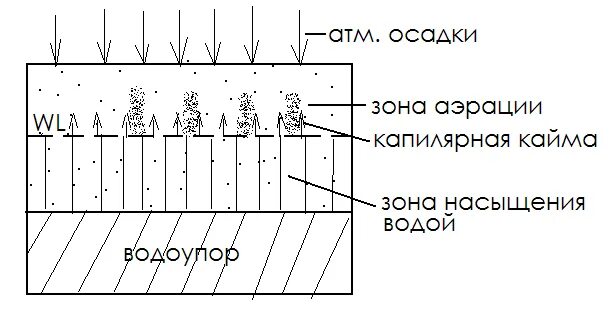 Воды зоны аэрации. Подземные воды зоны аэрации схема. Зона аэрации подземных вод это. Мощность зоны аэрации. Грунта зоны аэрации это.