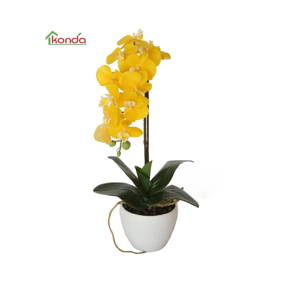 Купить желтую орхидею в горшке. Фаленопсис жёлтый. Жёлтая Орхидея фаленопсис в горшке. Орхидея Pot/ Martha s Sunburst. Желтая Орхидея в горшке.