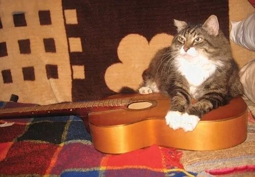 к долгожданной гитаре я тихо прильну. я гитару настрою на лирический. я гитару настрою на лирический. я гитару настрою на лирический. мне скучно и грустно.