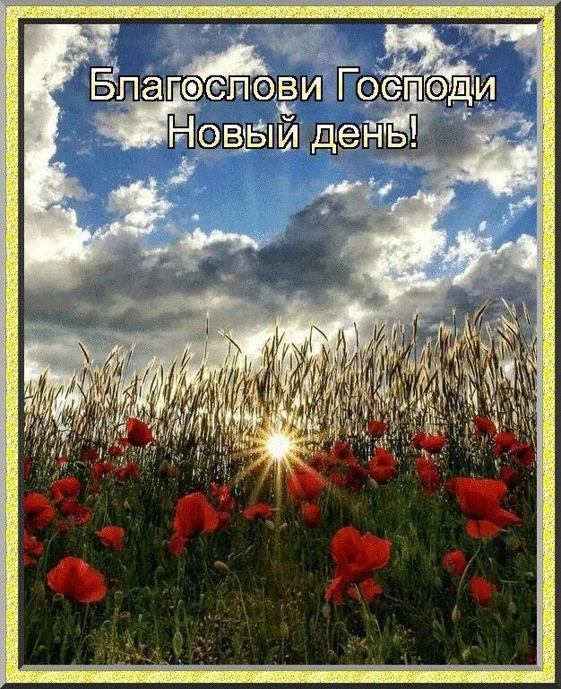 Доброго дня православные. С добрым утром православные. Христианские открытки с добрым утром. Доброе утро благословенного дня. Гифки благословенным утром