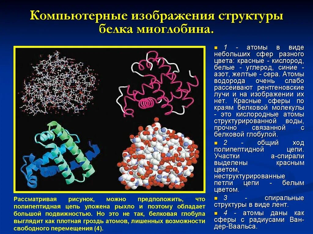 Сложные белки состав. Строение гемоглобина и миоглобина. Миоглобин структура. Структура миоглобина и гемоглобина. Миоглобин строение.