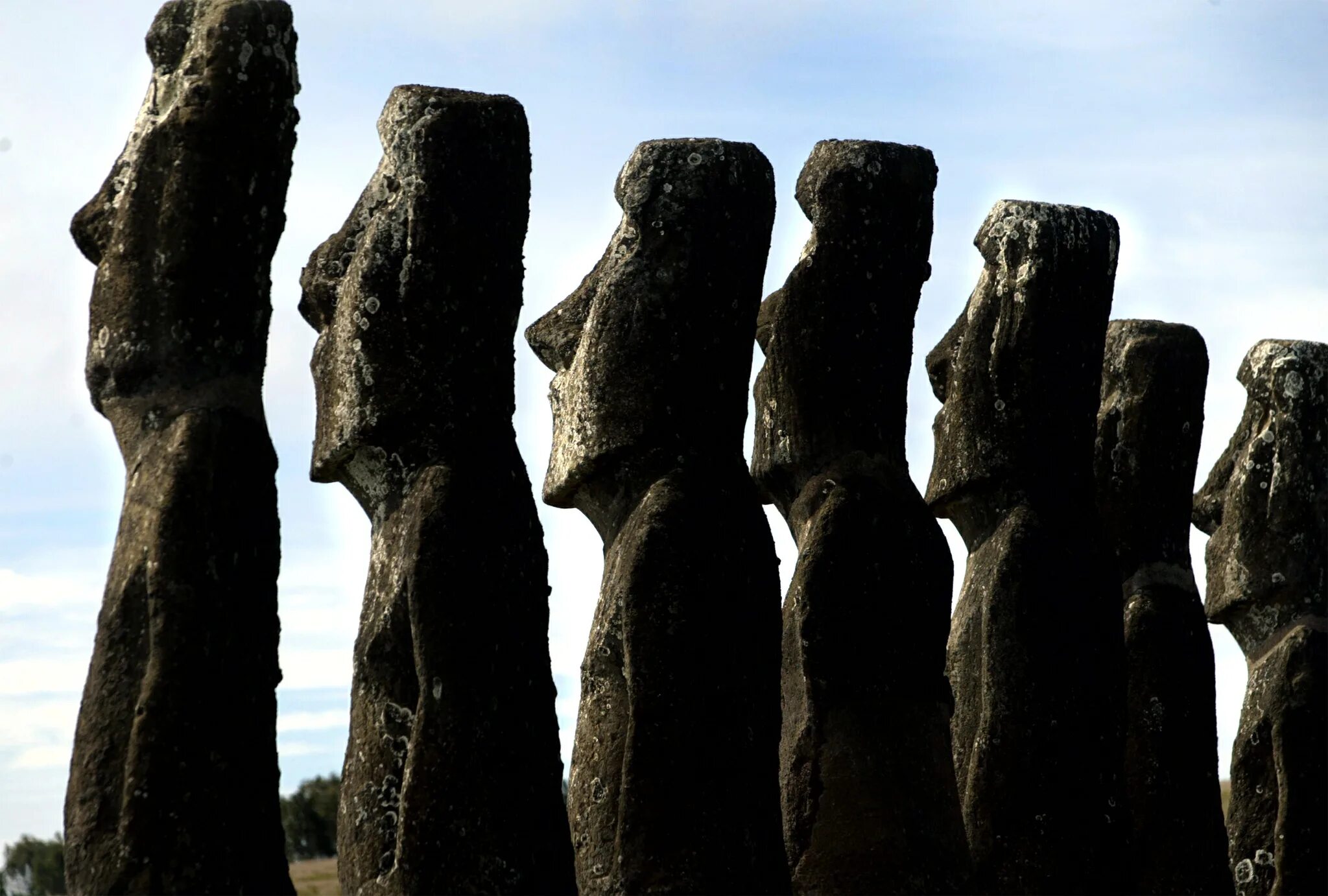 Остров Пасхи статуи Моаи. Каменные истуканы острова Пасхи. Каменные монолитные статуи Моаи. Моаи на острове Пасхи.