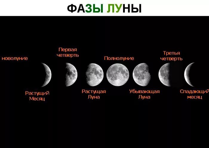 4 г в месяцах. Фазы Луны по порядку. Фазы Луны новолуние первая четверть полнолуние последняя четверть. Фазы Луны новолуние растущая Луна полнолуние убывающая Луна. Растущая Луна и убывающая Луна разница.