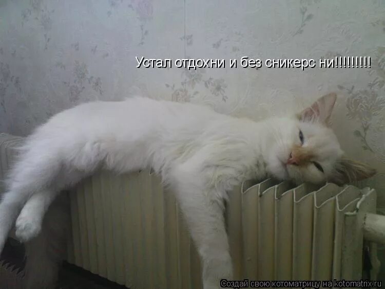 Ты устала отдохни. Ты устал отдохни. Устал отдыхать картинки. Устал отдыхать картинки. Валяться на диване.