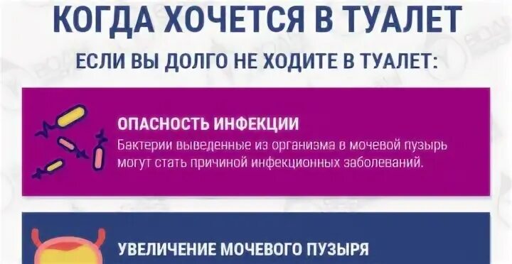 По утрам хочется в туалет по большому. Не получается сходить в туалет по большому. Что если не можешь сходить в туалет по большому. Что делать если хочешь в туалет.