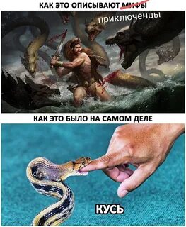 Мифы последних лет